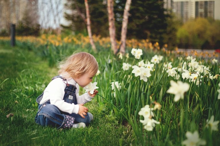 pollen season affects your oral health